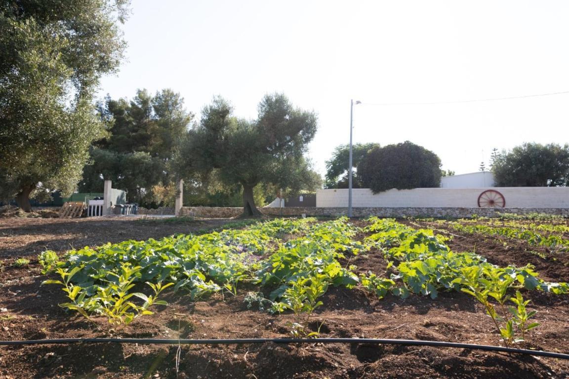 Agrifamily Village San Vito dei Normanni Kültér fotó