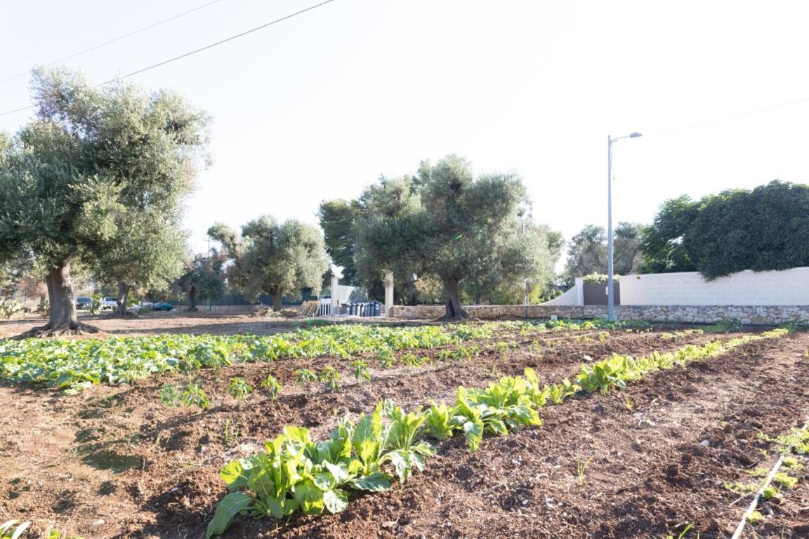 Agrifamily Village San Vito dei Normanni Kültér fotó